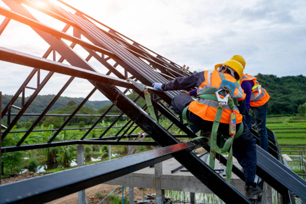 Best Flat Roof Repair Services  in , HI